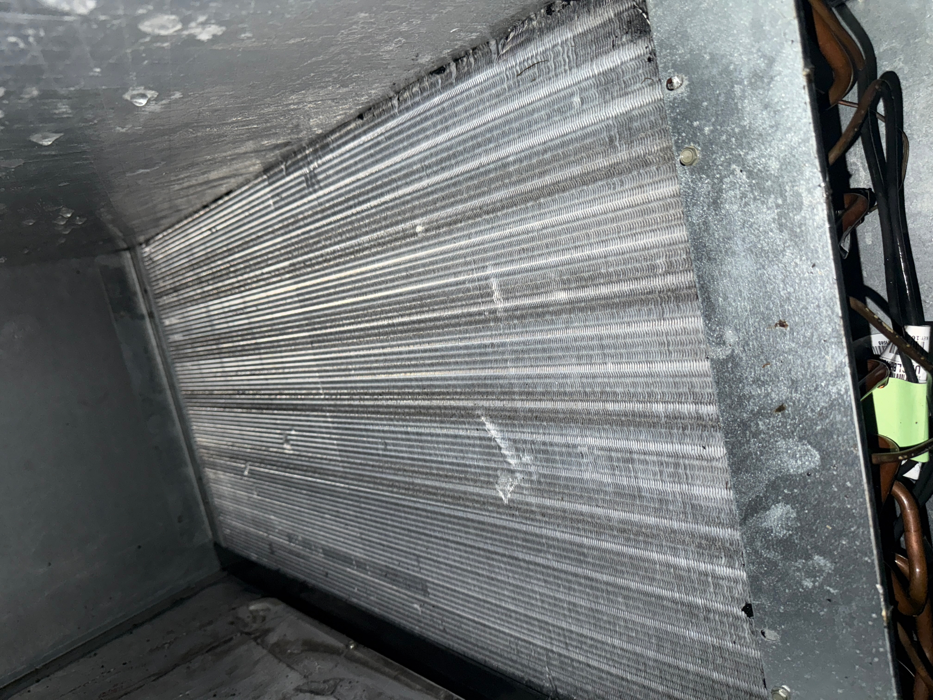Evaporator Coil Deep Clean — after
